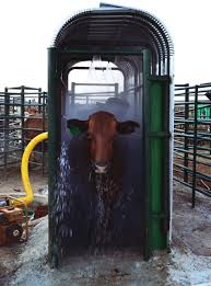 Cattle Parasite Control