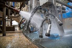 Cattle Hygiene