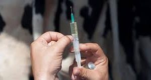 Cattle Vaccine
